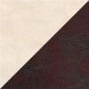 colledge120-536