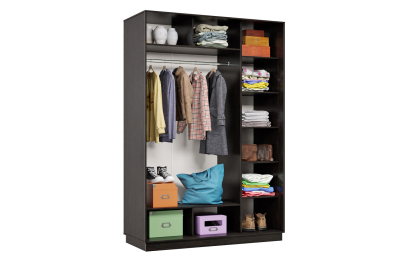 Шкаф-купе Премьер Лайт 10 (01;01) двухдверный