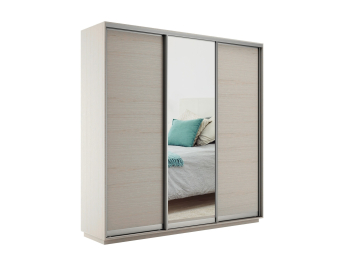 Шкаф-купе Экспресс Медиум (1 зеркало) трио 2200 x 2400 x 450