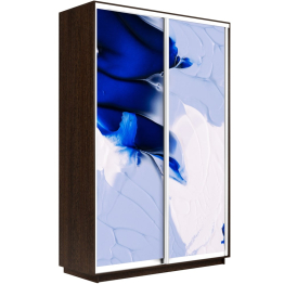 Шкаф-купе Экспресс 1010, 160х45х240