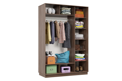 Шкаф-купе Премьер 10 (16;16) двухдверный