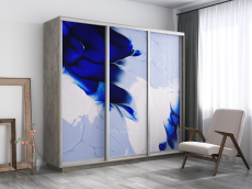 Шкафы-купе, Шкаф-купе Экспресс 1010, 180х45х240