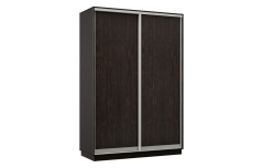 Шкафы-купе 2-х дверные, Шкаф-купе Премьер Лайт МИНИ 04 (02;02) двухдверный