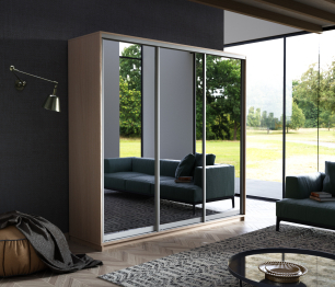 Шкаф-купе Экспресс Экспенс трио 2400 x 2400 x 600