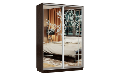 Шкаф-купе Премьер Лайт 04 П-3159 двухдверный