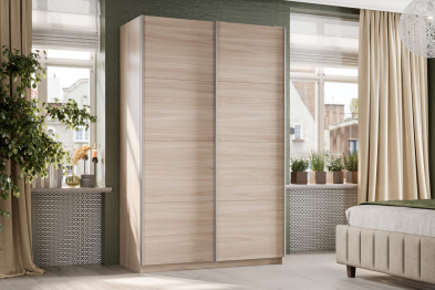 Шкаф-купе Smart 1624 2х дверный (фасады ЛДСП) профиль серебро