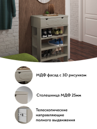 Тумба для обуви ДримСтар ДС-21 (600)