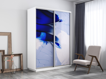 Шкаф-купе Экспресс 1010, 120х45х220