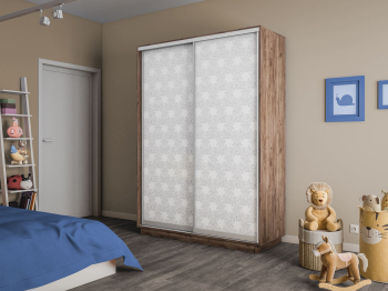 Шкаф-купе Экспресс 2-х дверный Фотопечать Калейдоскоп Стекла 120х60х220