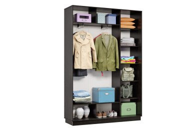 Шкаф-купе Премьер Лайт 09 (01;01) двухдверный