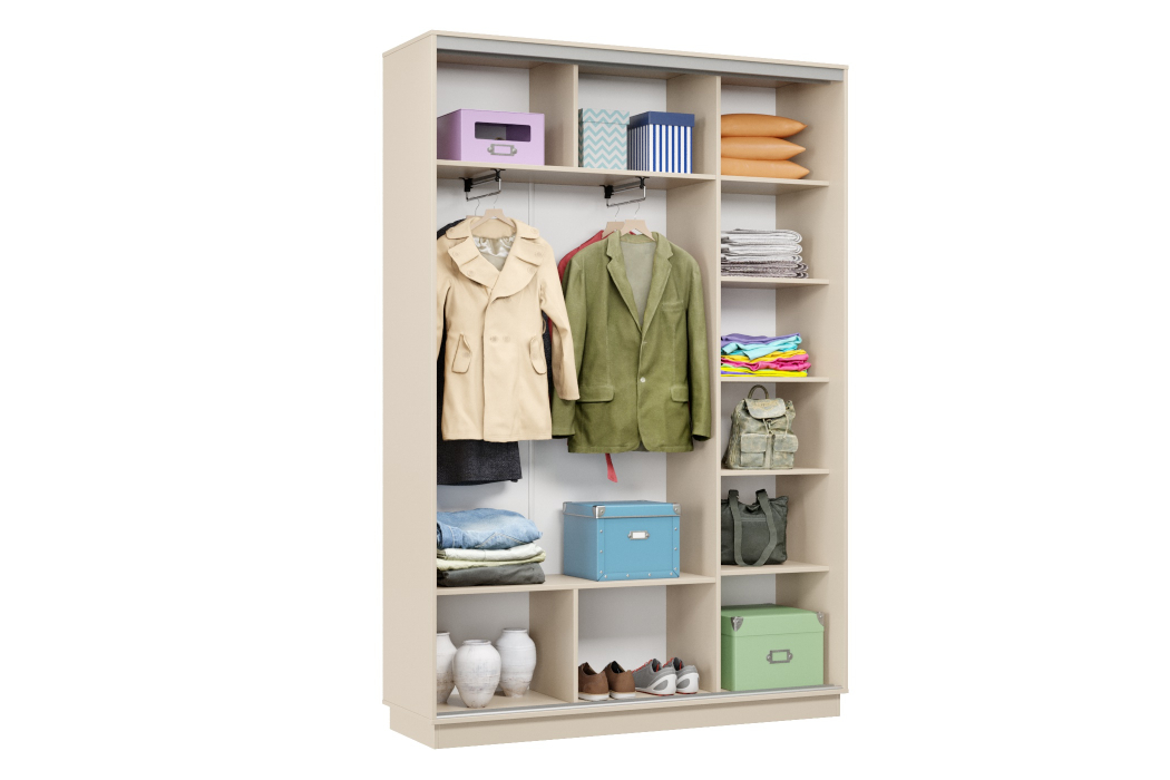 Шкафы-купе 2-х дверные, Шкаф-купе Премьер Лайт 11 Ф-1356 двухдверный