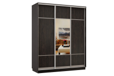 Шкафы-купе 3-х дверные, Шкаф-купе Премьер Лайт 43 (08;11;08) трехдверный