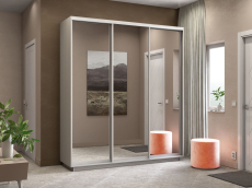 Шкафы-купе 3-х дверные, Шкаф-купе Экспресс Экспенс трио 2200 x 2100 x 450