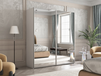 Шкаф-купе Эста Зеркало+Зеркало 200х66х240