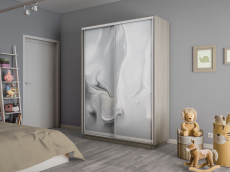 Шкафы-купе 2-х дверные, Шкаф-купе Экспресс 2-х дверный Фотопечать Шелк Стекла 160х60х220