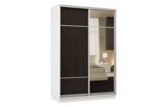Шкафы-купе, Шкаф-купе Премьер Лайт 09 (08;11) двухдверный