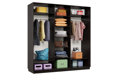 Шкаф-купе Премьер Лайт 44 (01;01;01) трехдверный