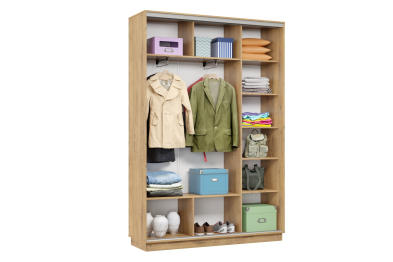 Шкаф-купе Премьер Лайт 09 (05;05) двухдверный