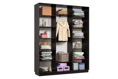 Шкаф-купе Премьер 29 (16;16;16) трёхдверный