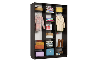 Шкаф-купе Премьер 17 (15;15;15) трёхдверный