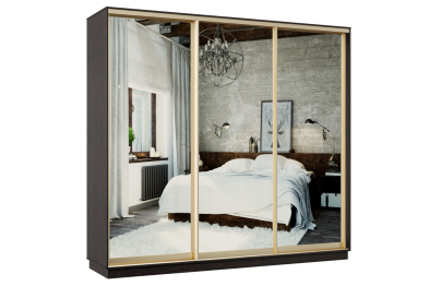 Шкаф-купе Премьер 60 венге