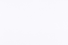 Фасады, Регина фасад 45х155 см