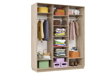 Шкаф-купе Премьер Лайт 28 (05;05;05) трехдверный