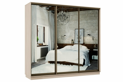 Шкаф-купе Премьер 55 Ясень шимо светлый