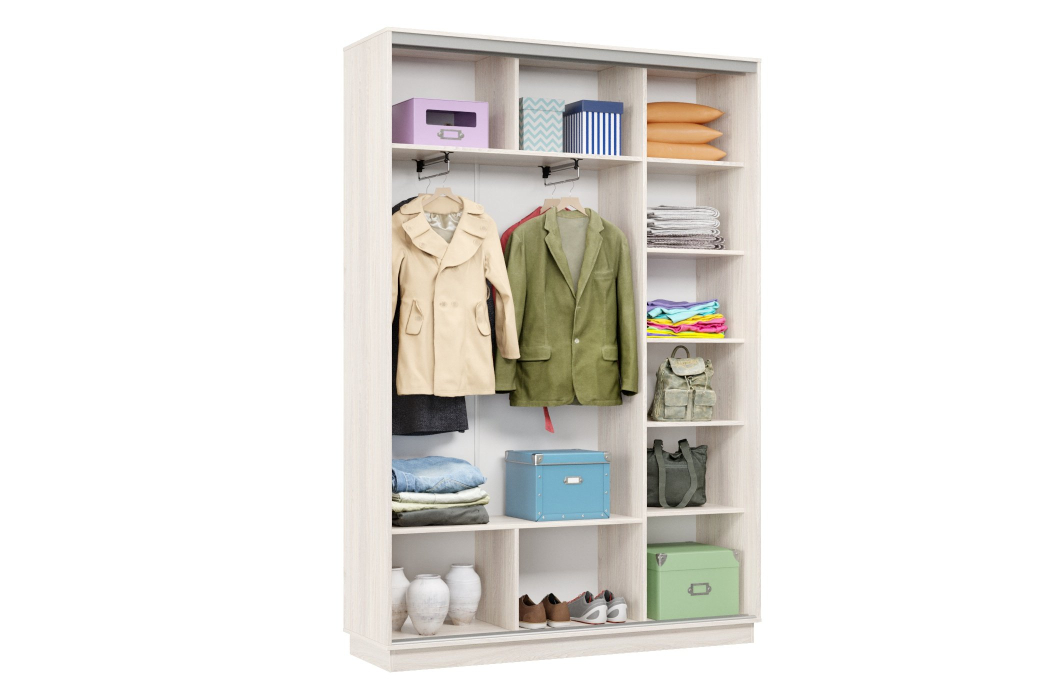 Шкафы-купе, Шкаф-купе Премьер Лайт 11 (05;05) двухдверный