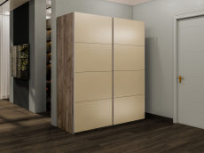 Шкафы-купе 2-х дверные, Шкаф-купе Эста 2-х дверный Стекла фисташка/Доводчик 160х66х240