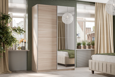 Шкаф-купе Smart 1622 2х дверный (фасады ЛДСП,зеркало) профиль серебро