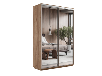 Шкаф-купе Экспресс Экспенс дуо 2200 x 1200 x 450