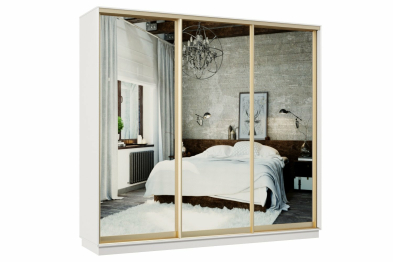 Шкаф-купе Премьер 55 Белый