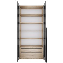 Шкаф распашной Е1 Локер 101x52.5x220 см, с черным стеклом , полками и модулем