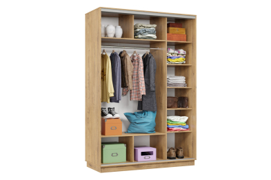 Шкаф-купе Премьер Лайт 10 П-3159 двухдверный