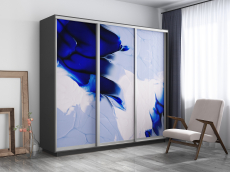 Шкафы-купе, Шкаф-купе Экспресс 1010, 180х60х220