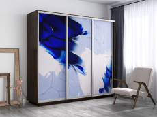 Шкафы-купе, Шкаф-купе Экспресс 1010, 180х60х240