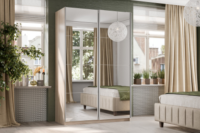 Шкаф-купе Smart 1424 2х дверный (фасады зеркало) профиль серебро