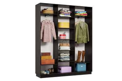 Шкаф-купе Премьер 25 (15;15;15) трёхдверный