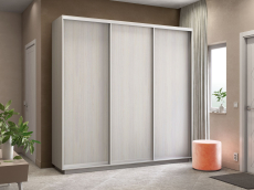 Шкафы-купе 3-х дверные, Шкаф-купе Экспресс Элемент трио 2200 x 2400 x 450