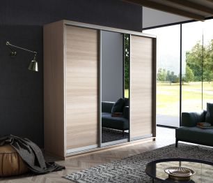 Шкаф-купе Экспресс Медиум (1 зеркало) трио 2200 x 2100 x 600