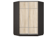 Угловые шкафы, Шкаф-купе Премьер Лайт 71 угловой (08;08) двухдверный