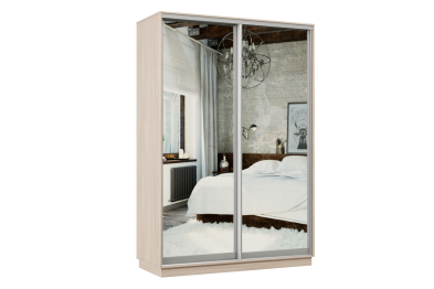 Шкаф-купе Премьер Лайт 02 (01;01) двухдверный