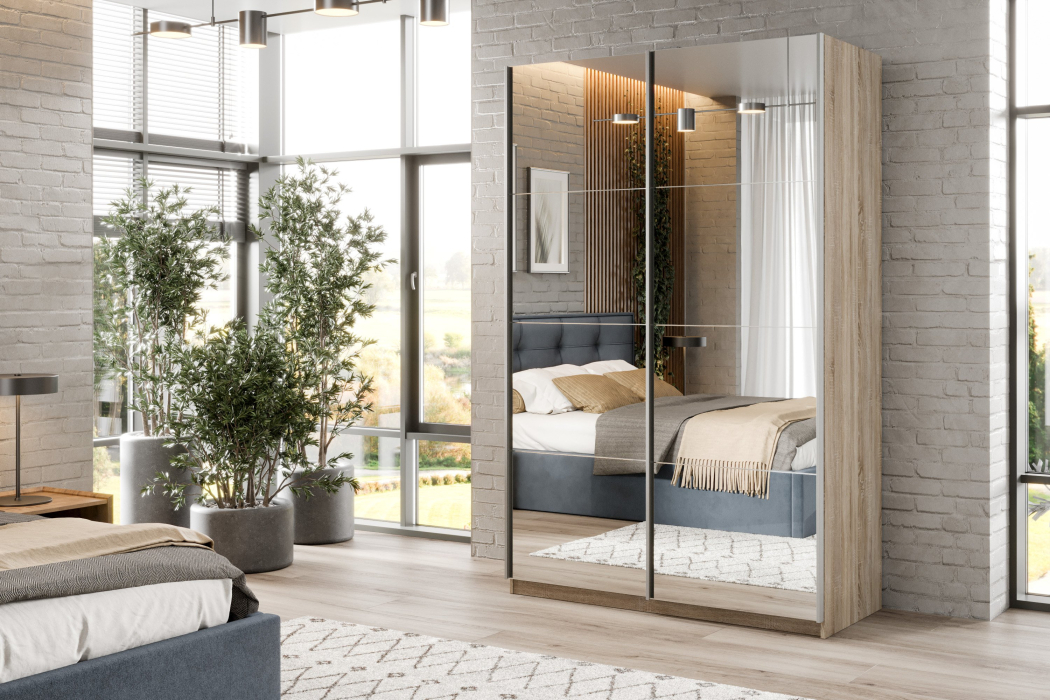 Шкафы-купе 2-х дверные, Шкаф-купе Smart 1424 2х дверный (фасады зеркало) профиль серебро