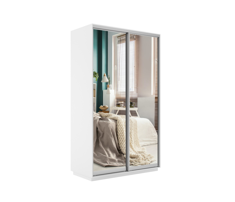 Шкафы-купе, Шкаф-купе Экспресс Экспенс дуо 2200 x 1200 x 600