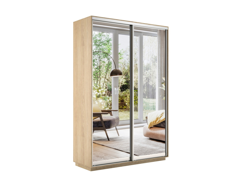 Шкафы-купе 2-х дверные, Шкаф-купе Экспресс Экспенс дуо 2200 x 1400 x 450