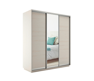 Шкаф-купе Экспресс Медиум (1 зеркало) трио 2200 x 2100 x 600