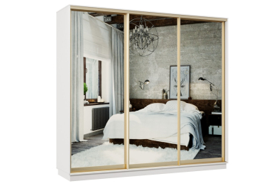 Шкаф-купе Премьер 57 белый