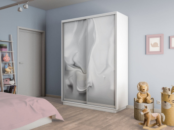 Шкаф-купе Экспресс 2-х дверный Фотопечать Шелк Стекла 160х60х220