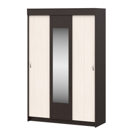 Шкаф-купе Бассо